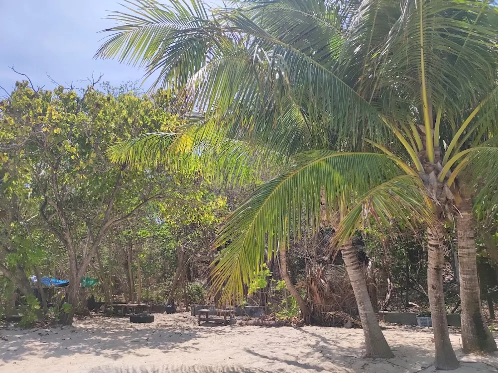 aCQNUXzZXsuZASChFynpunwFkEk3d7lg