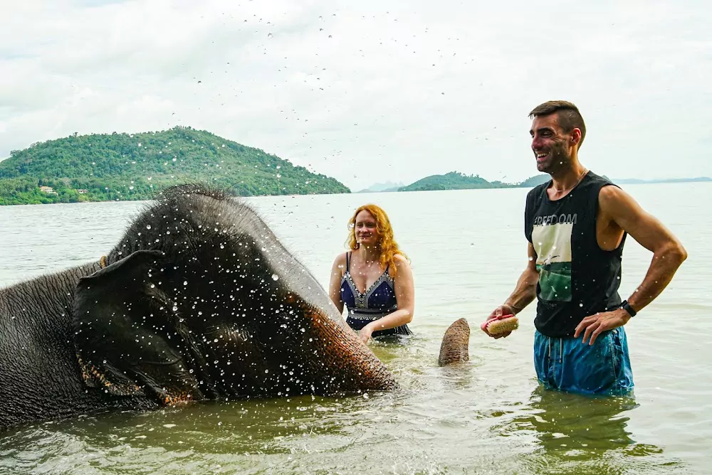 Rassada, Phuket Siray Elephant Care Camp address