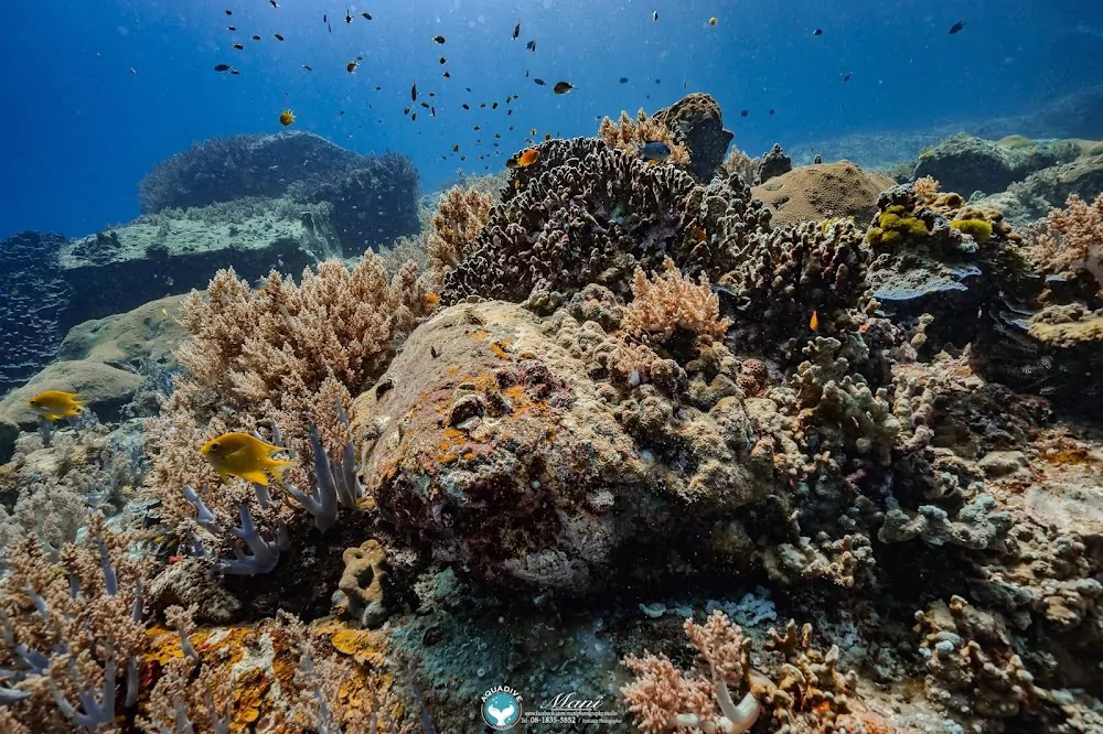 d7HKeBT-ghuAPsOokOuW2JiwE_zY_-lN