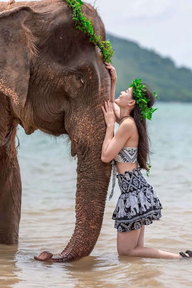 Rassada, Phuket Siray Elephant Care Camp opening hours