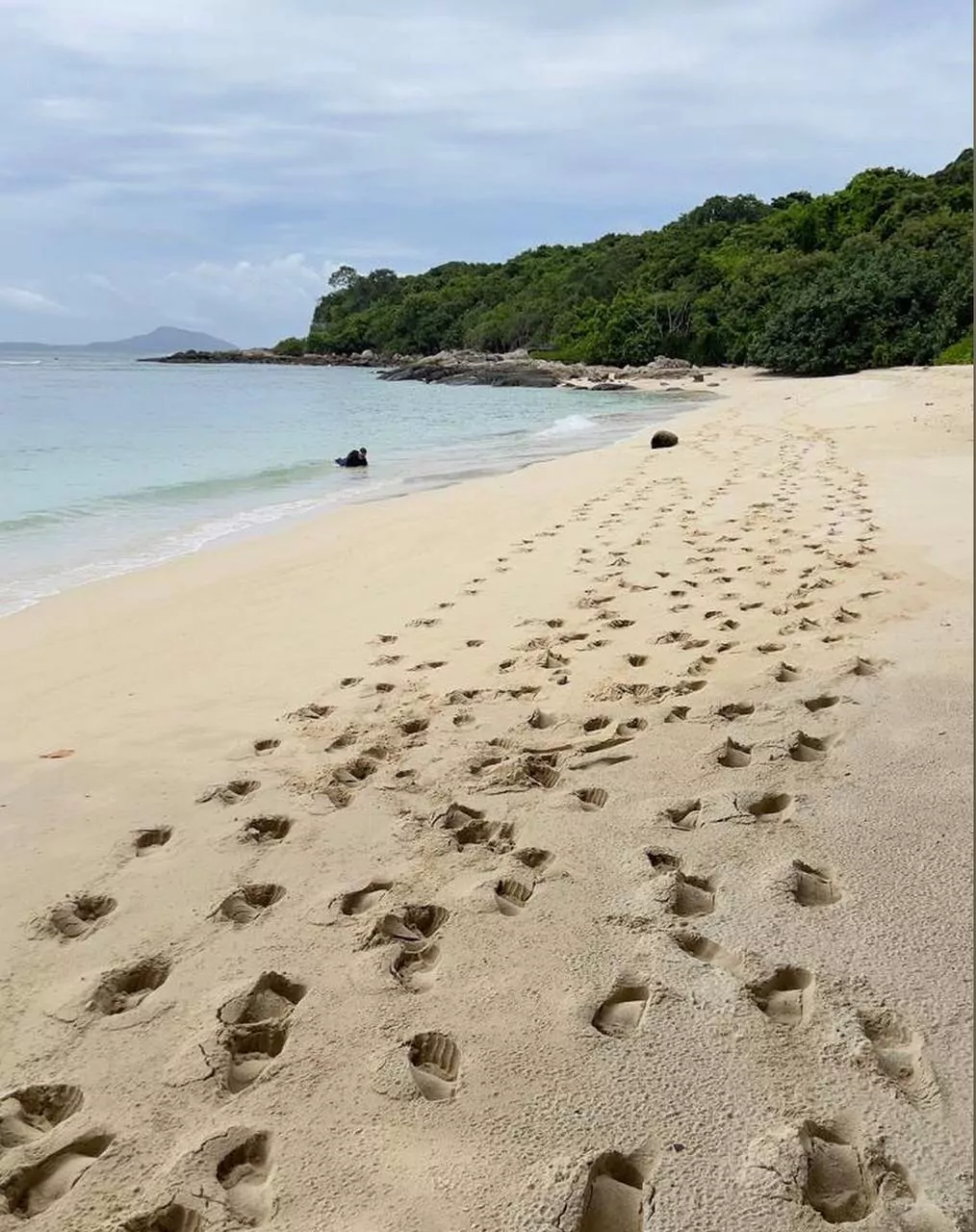 HcWuf2aTxpTkjN_jvHtrOdEGnjjw1YE8