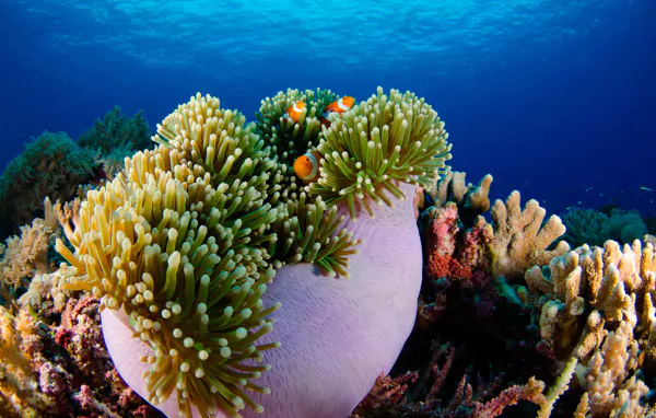 JvMNw-_iAWLPdLFUMH26L18OU7L5XbOi