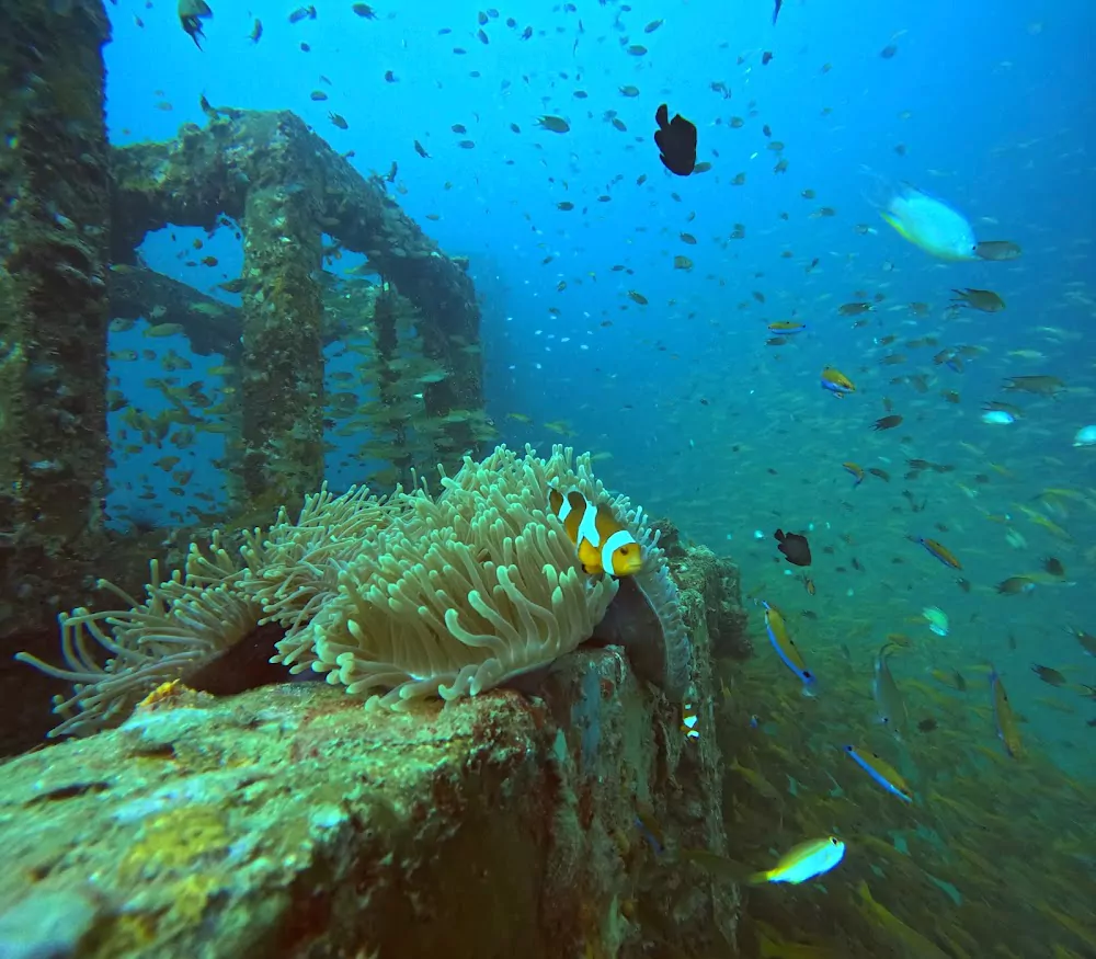 L6-9GBrOWXY3sUO_YGLWG43NZ3iww4dx