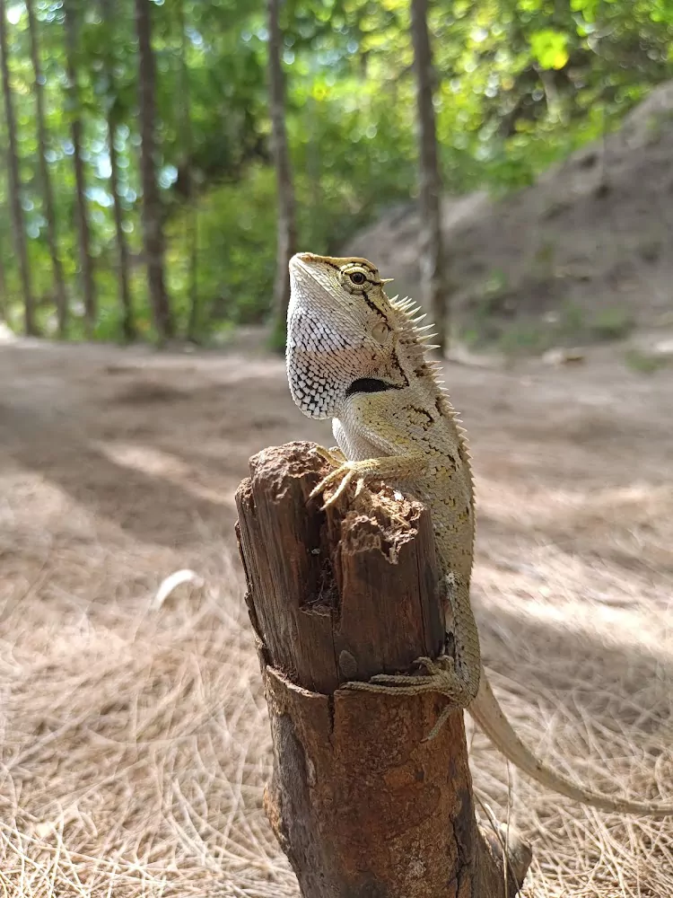 MJWfXM2P8ei9XRkGolpSKSZttZ0_D9Uo