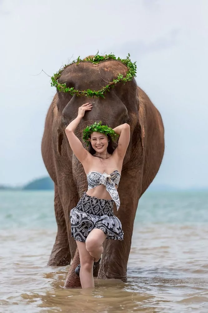 Rassada, Phuket Siray Elephant Care Camp address