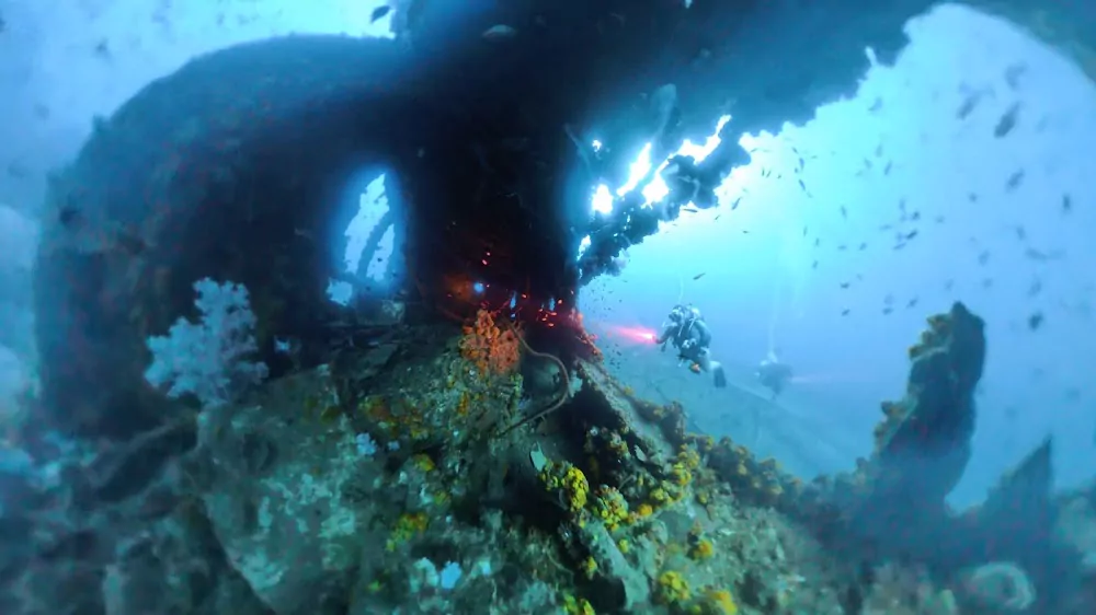 NLyFAW_ab9RrLMyf8HGZrY5Oo6ParbJX