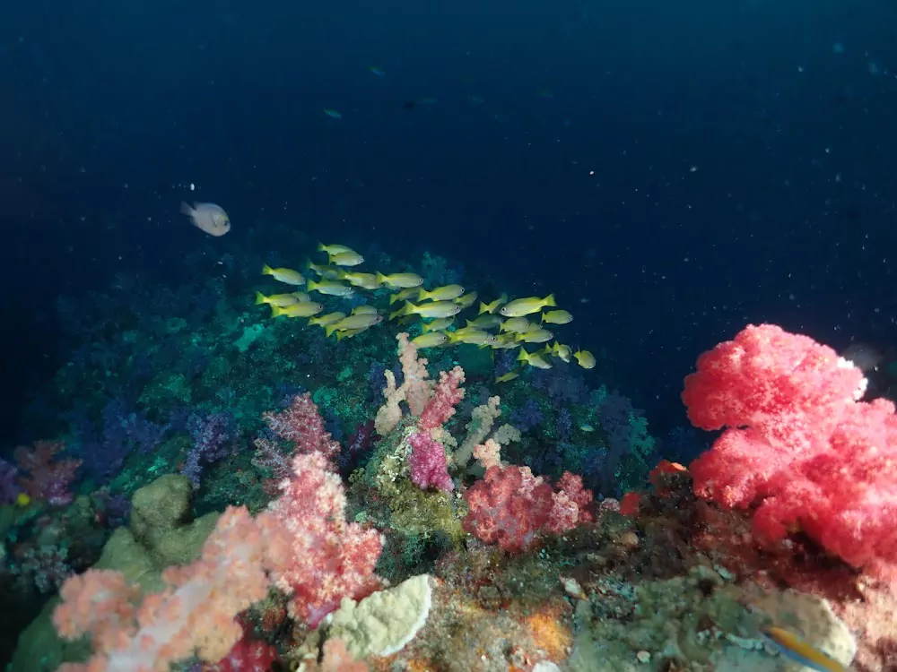 NYh-QF8u8mCfOL3b1JfZ8tqbjj3zZAHC