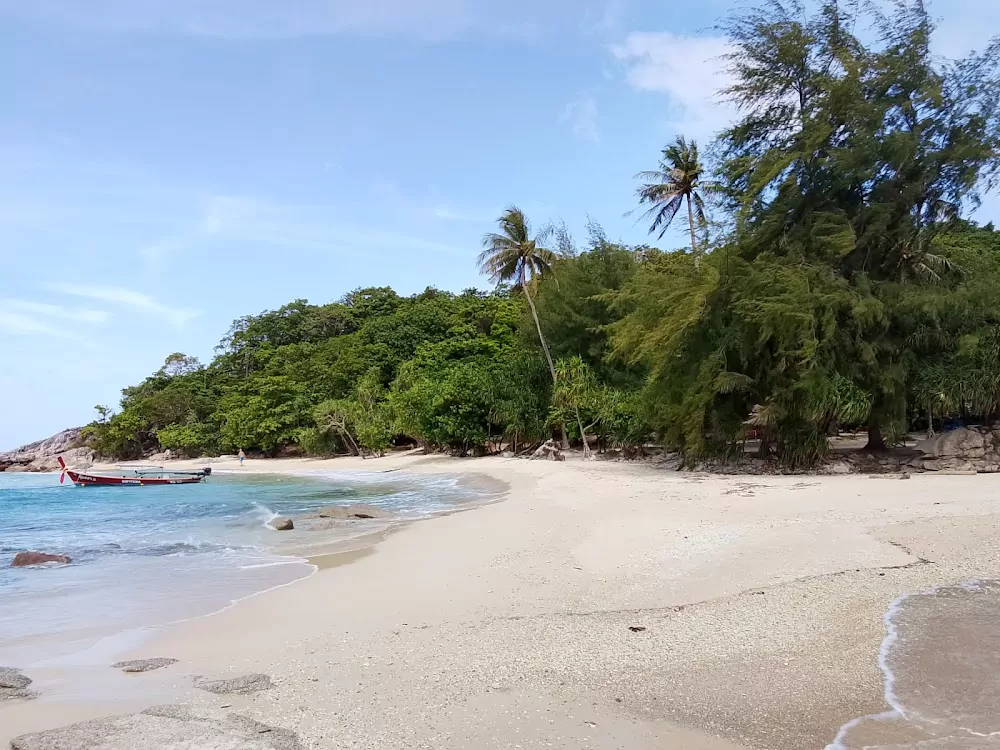 pJlH8LZVaceSp1q6pL-agsi_IbemJWVt