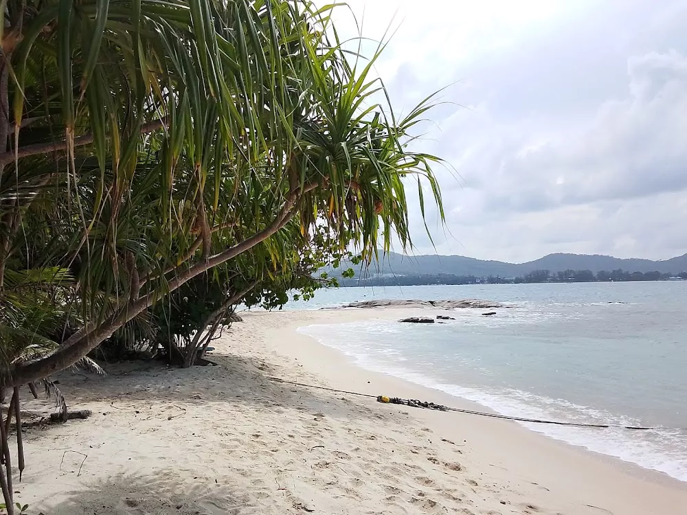 STUUbpF7Yk6zUxF2tFLG7mqvPp9RrLCa