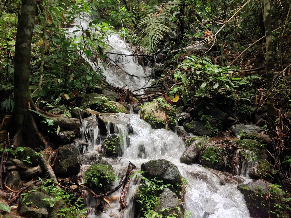 v6btkxnzzZSVV6QErmWWog0h9DW7zRGZ