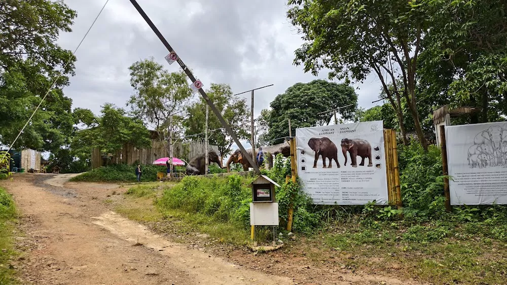 Rassada, Phuket Siray Elephant Care Camp opening hours