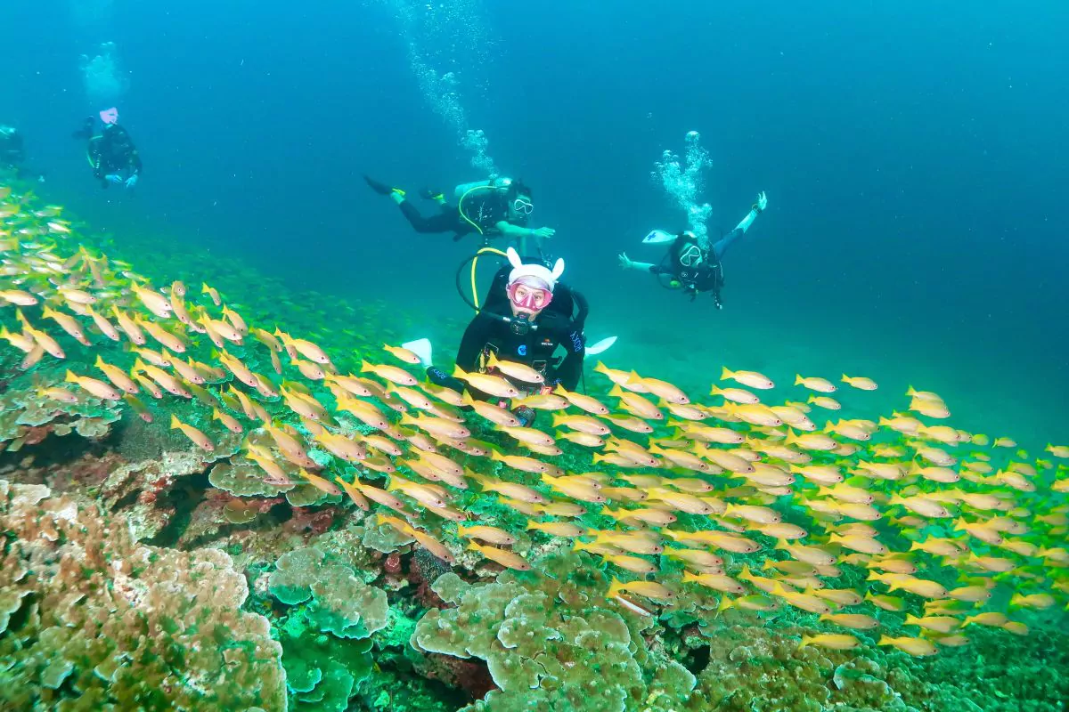 Z1v7FzcYrJr5rH9BV6pY8qnviKhSMUnv