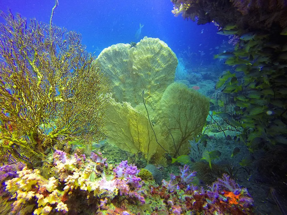 zUFWAVUR0LGy9_kcL3lGnF2txt7flQWx