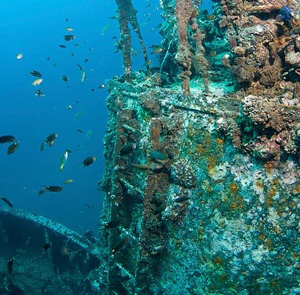 zUSsasU5wf6ujYgnM-EmuQ7bhHKG4ezQ