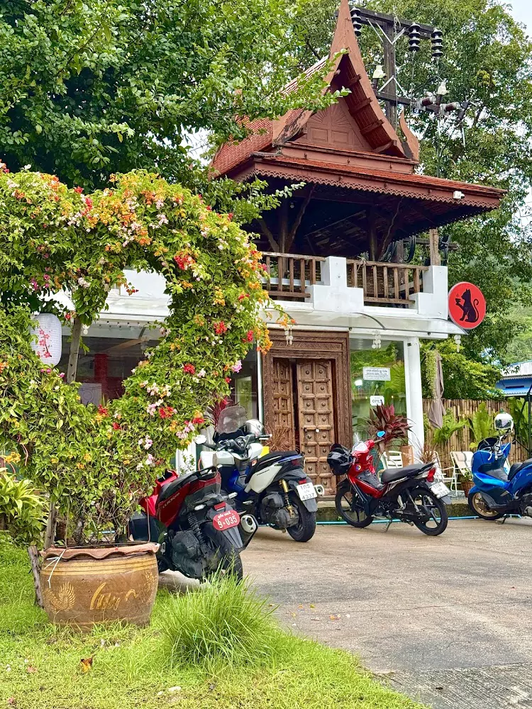 Patong, LUCKY CAT working hours