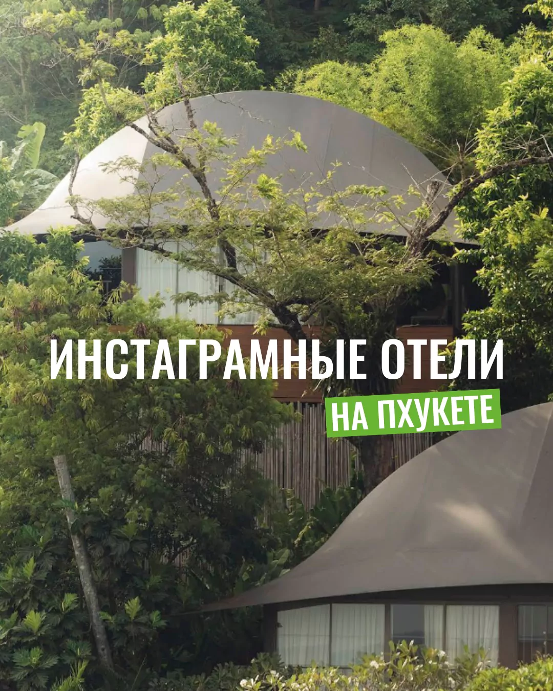 U6wFH0Nw5NzKX79iB8zCOxACzE3EhqlM