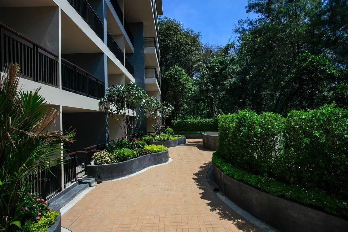 Patong, The Unity Patong find