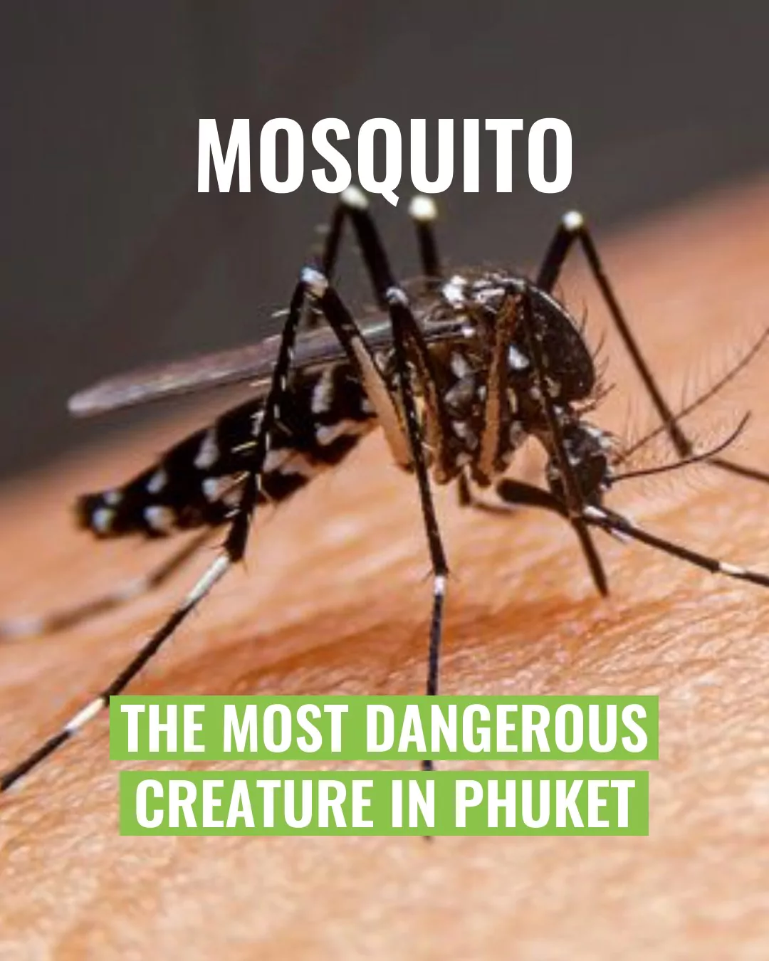 bkhWIdBPSVRMkVkrBVq9s_YwzS1j0_EE