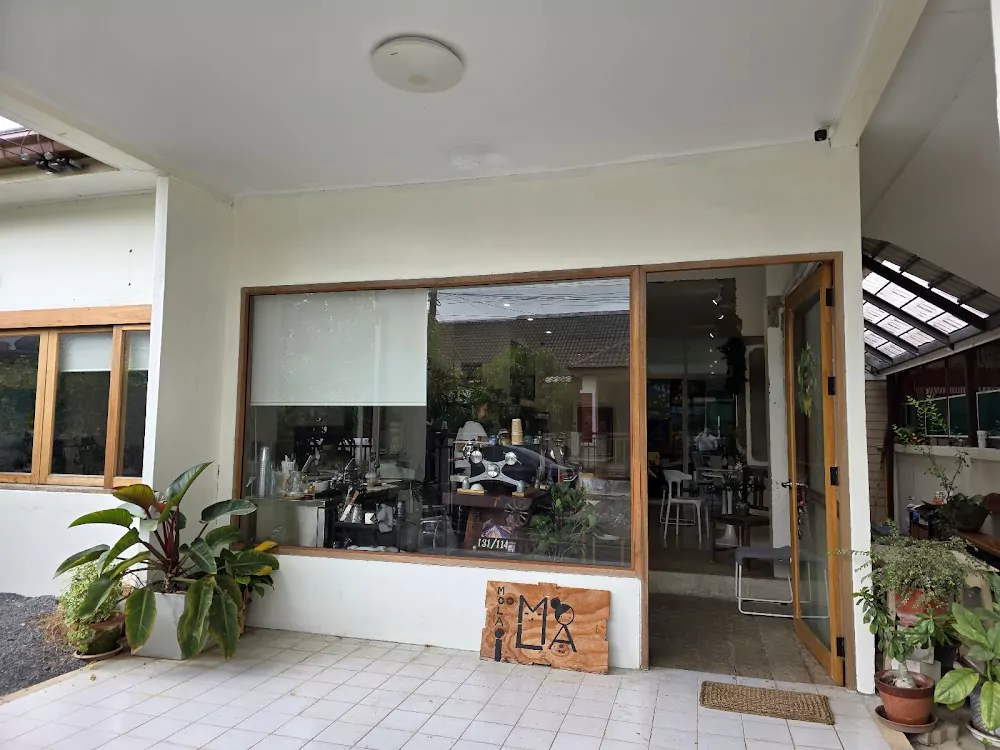 Рассада, MOLACAFF найти