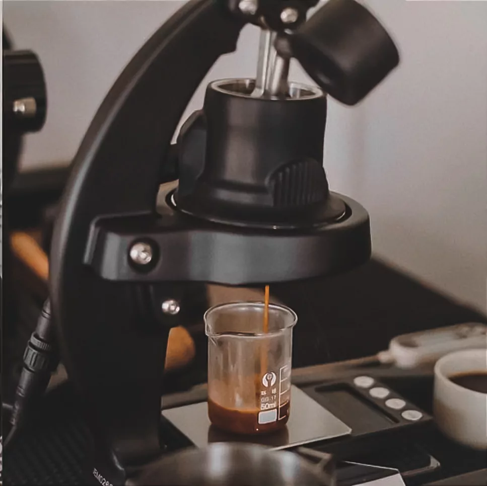 Bang Tao, Double / N Homebrewing.Phuket photo