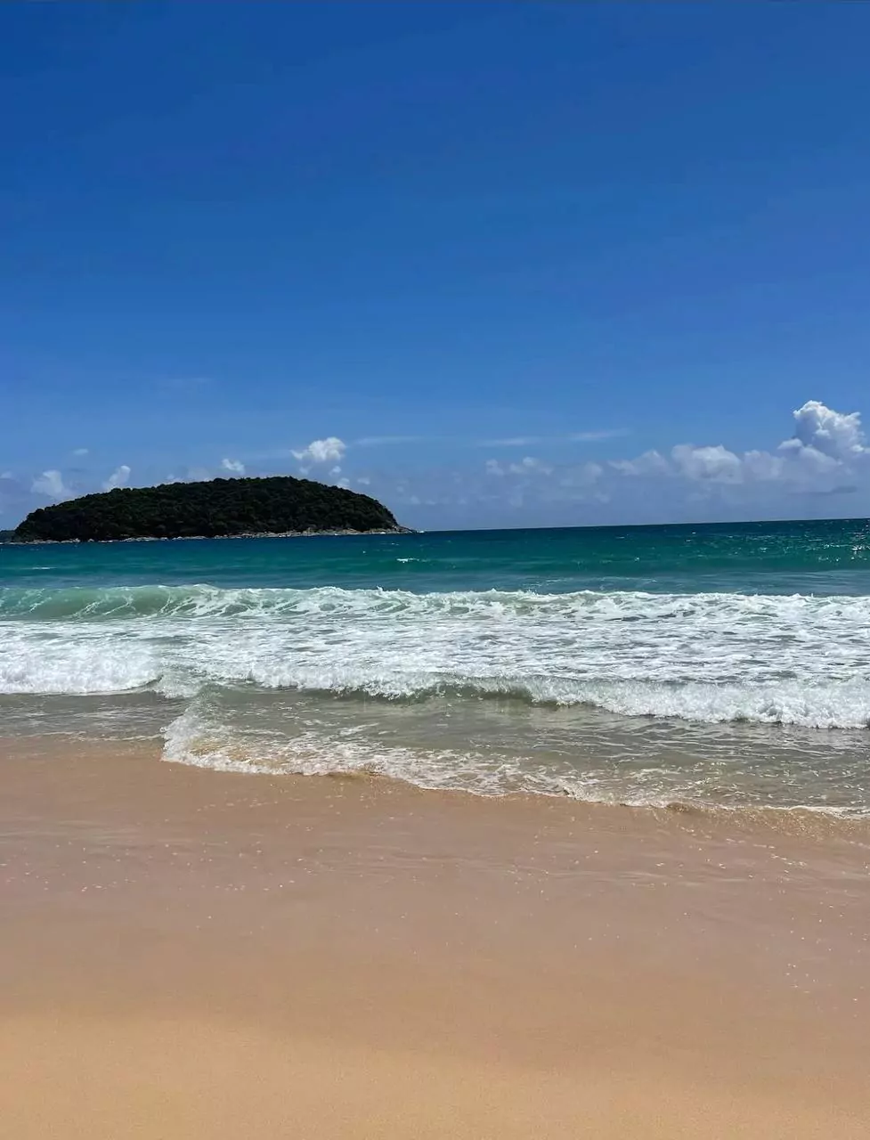 uEFn7ITn4LQz39CanEQw5B5Fvn7buykv