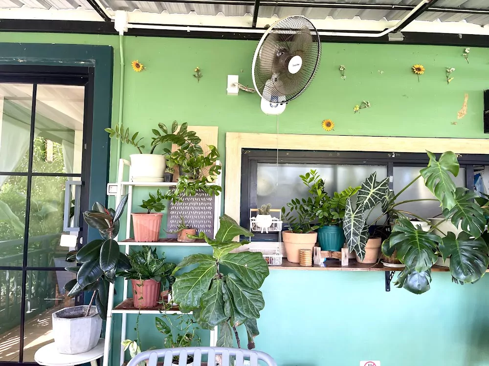 Банг Тао, Sist.ers Cafe маршрут