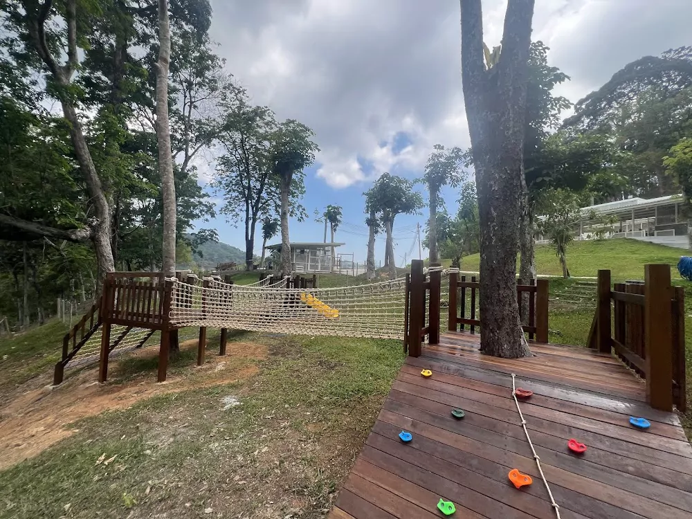 Чалонг, Donna Cafe — for NAVI найти