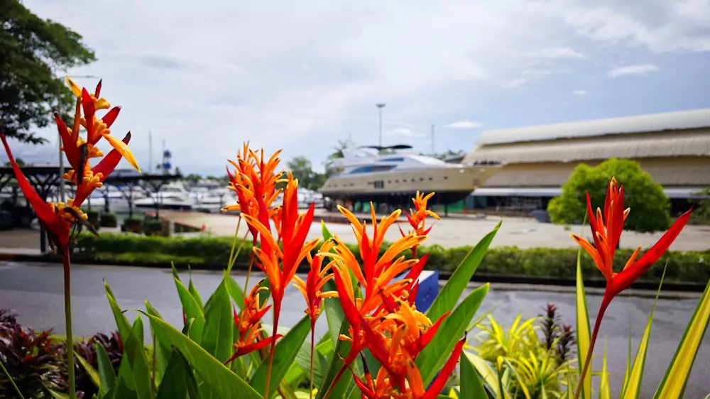 CgpZDnM6iKG2-25v_rrP0aFxnOcbCDUa