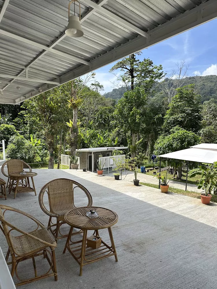 gsD1WNm6rzI0OKEsLIdtinngJj8yovvg