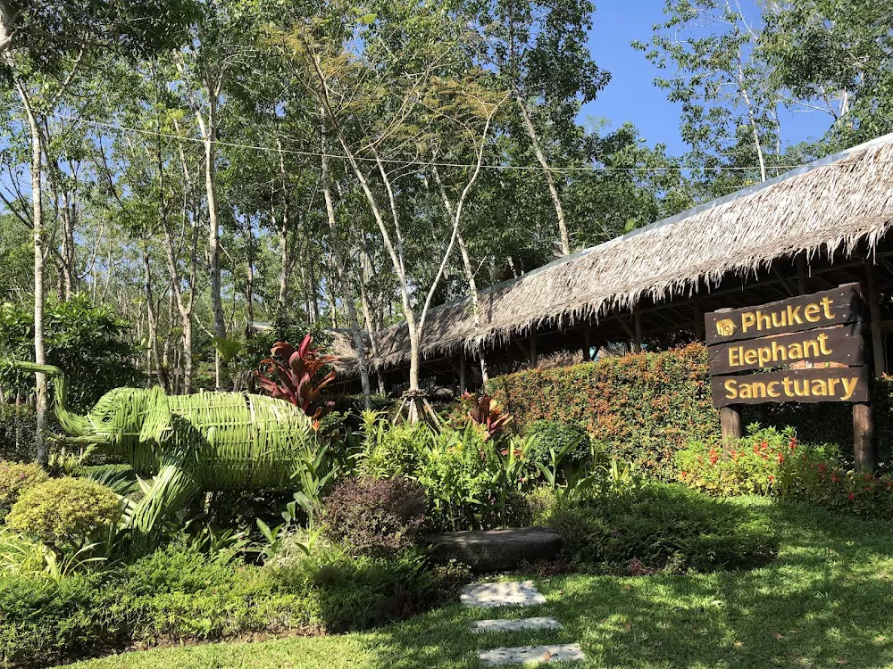 Pa Klok, Phuket Elephant Sanctuary working hours