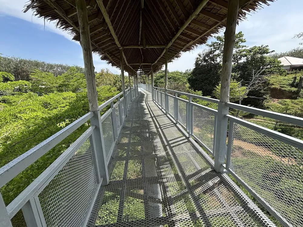 Pa Klok, Phuket Elephant Sanctuary photo
