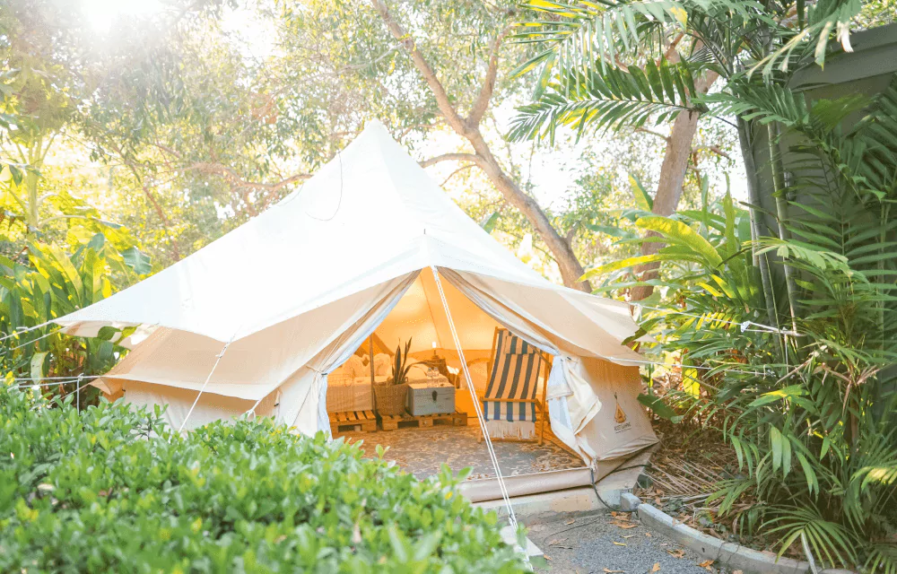 0etkUthfm5v5NBWxkFWgp2yEz71FSg9c