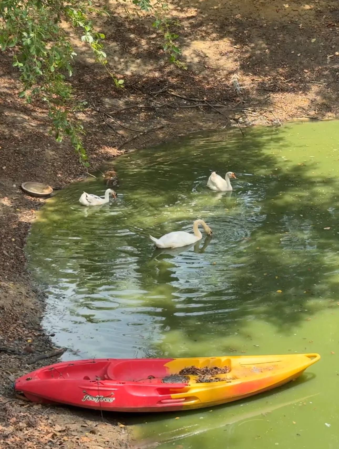 1bTGXTZ6NENQS88_Sv46CoCKz3_eAwd3