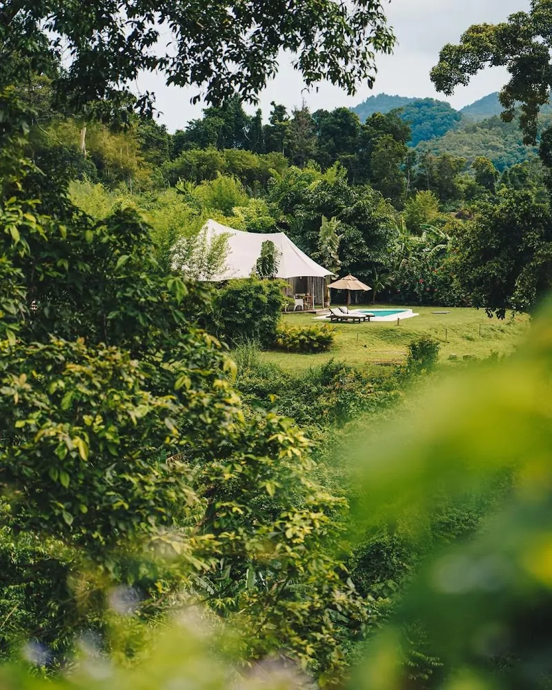 Пхангнга, 9 Hornbills Tented Camp время работы