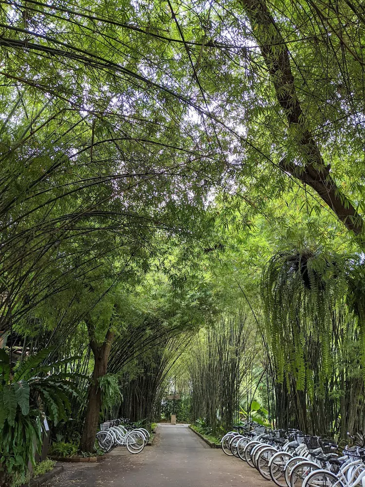Mai Khao, Anantara Spa route