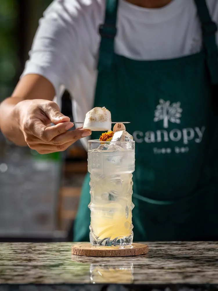 Ката, Canopy Tree Bar добраться самостоятельно