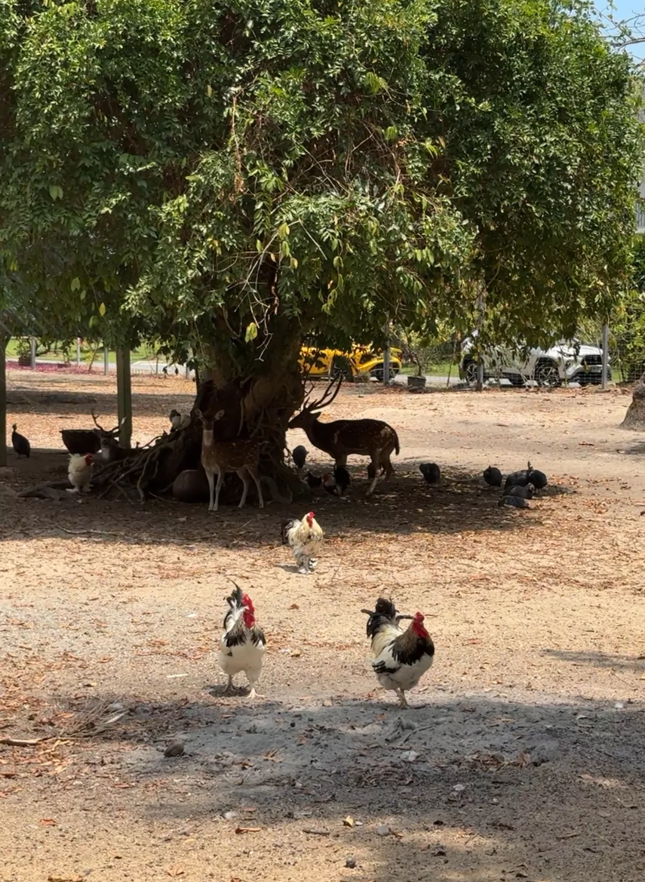 fgvVqNMxyX5e6yk8NIY5l5wsk2QFvZKC