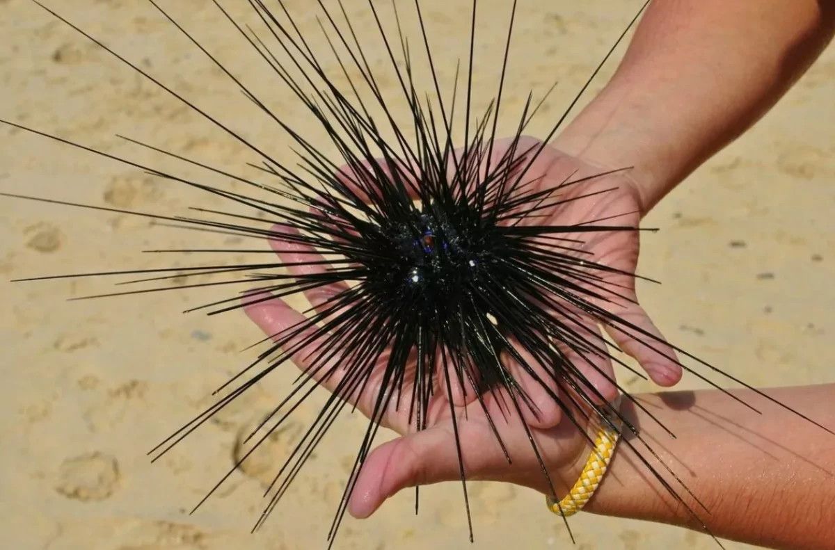 GjvMTkhR3K7_uydQGMw7TaA5QZQleXOe