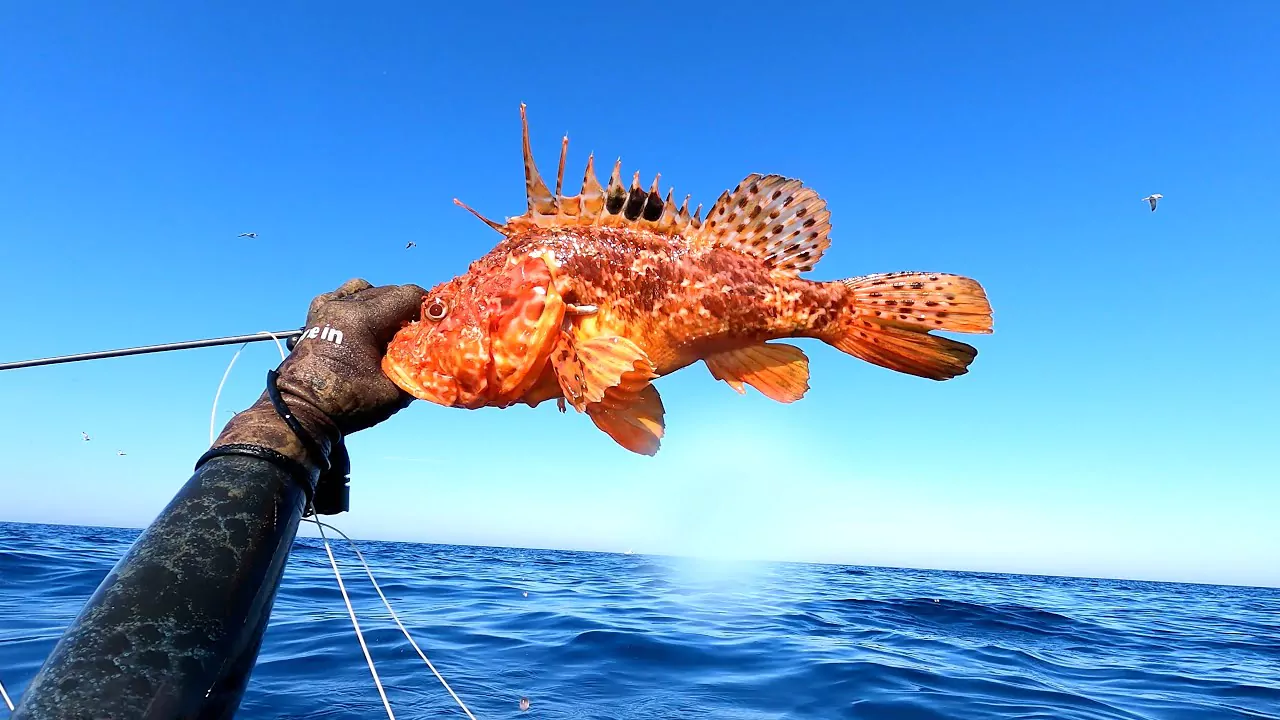 gXjRI60M6Vb7IrbGQH5JdOQzdUgn3dTU