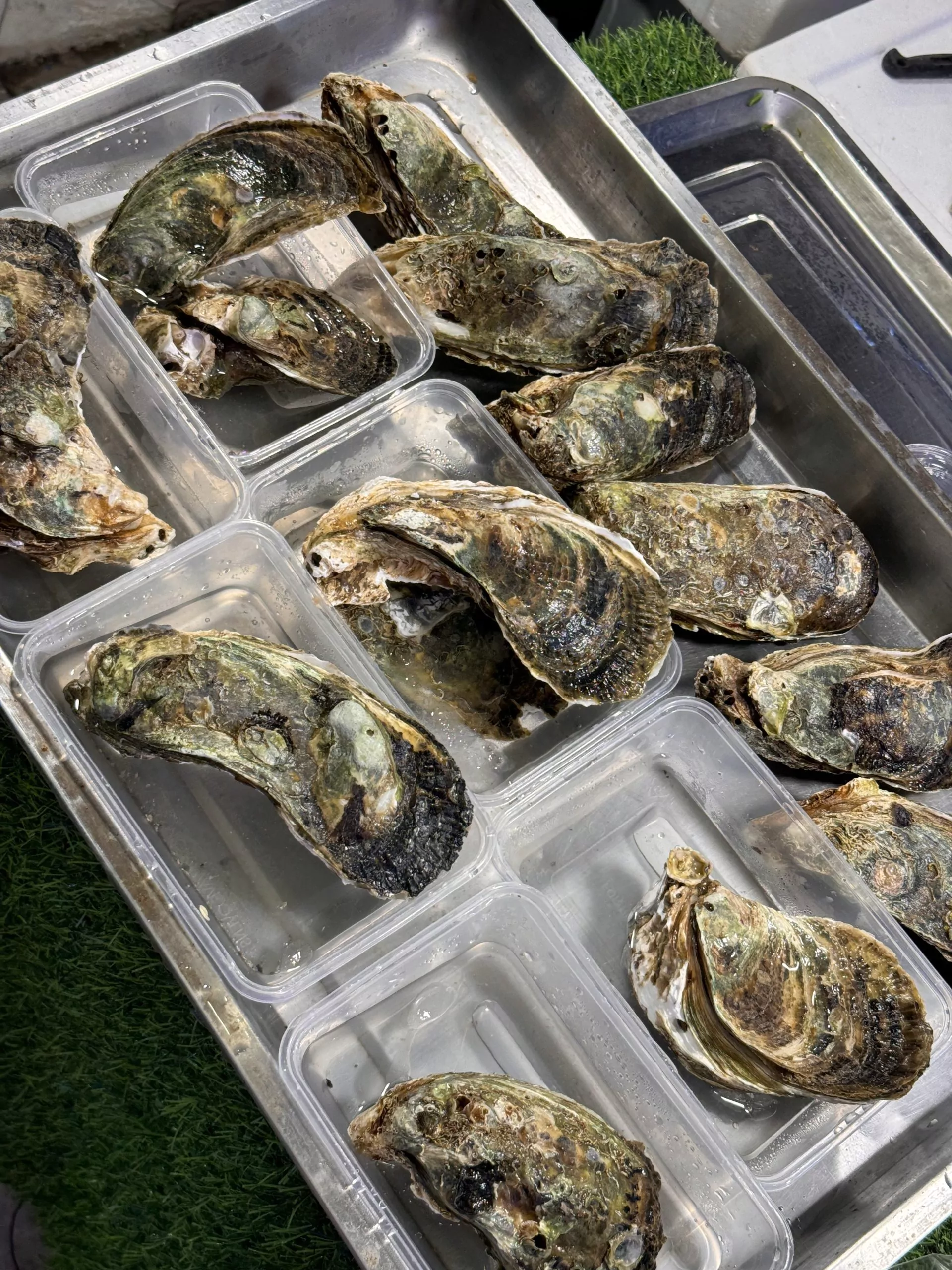 KvyLEOzhZWlEwcNKdbnwqGD1DDOSl9GO