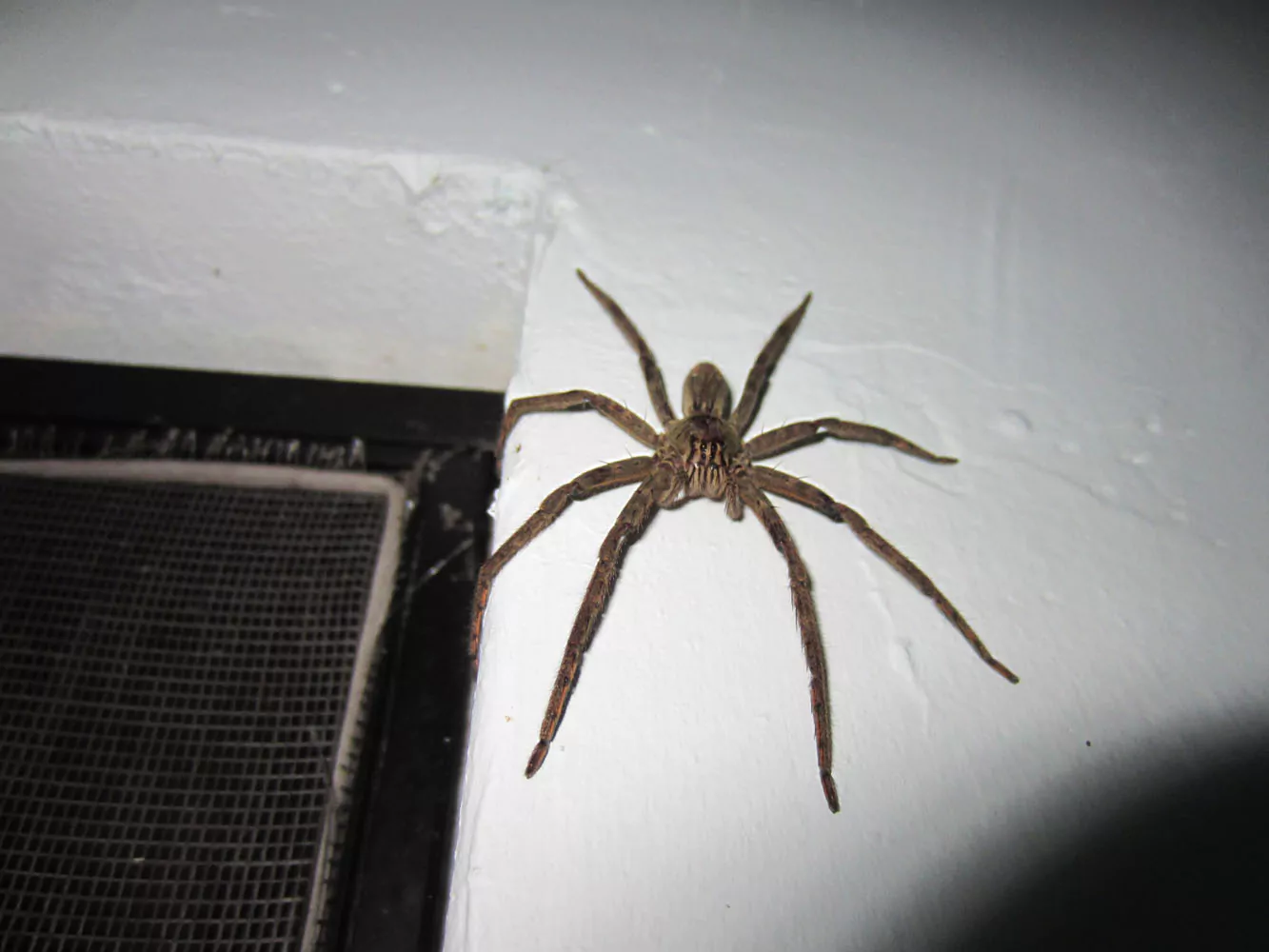 l7jyf_lPsldrmSQ1sloLjKsfsLTKskhz