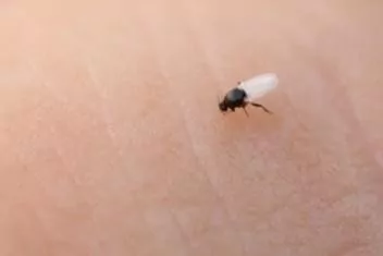 Me4hMu_zbeSBCIw6388I4mxffffnbcXJ