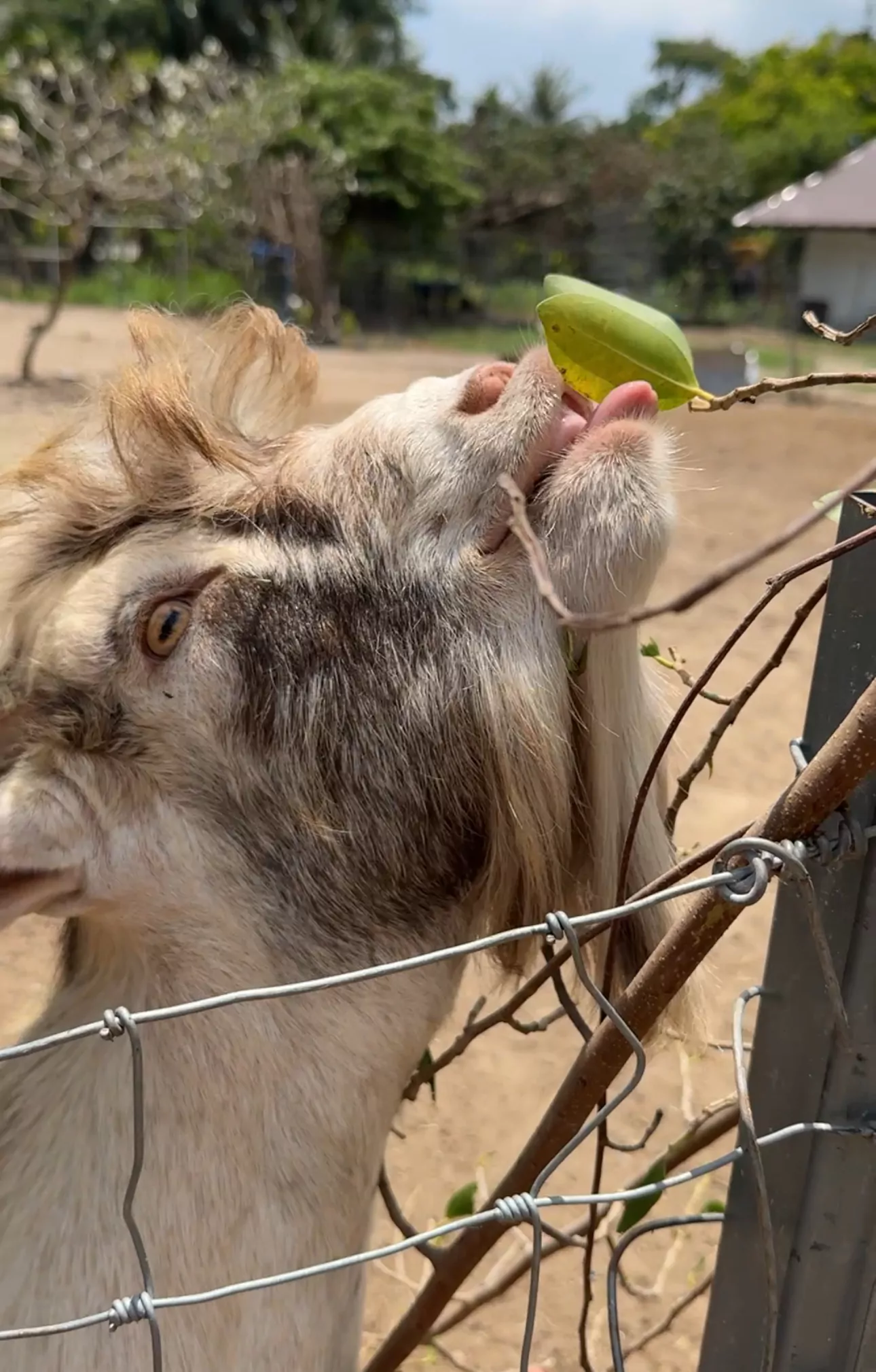 mOaprV7PVynd9QUNZ9aITjndd5IAffyI