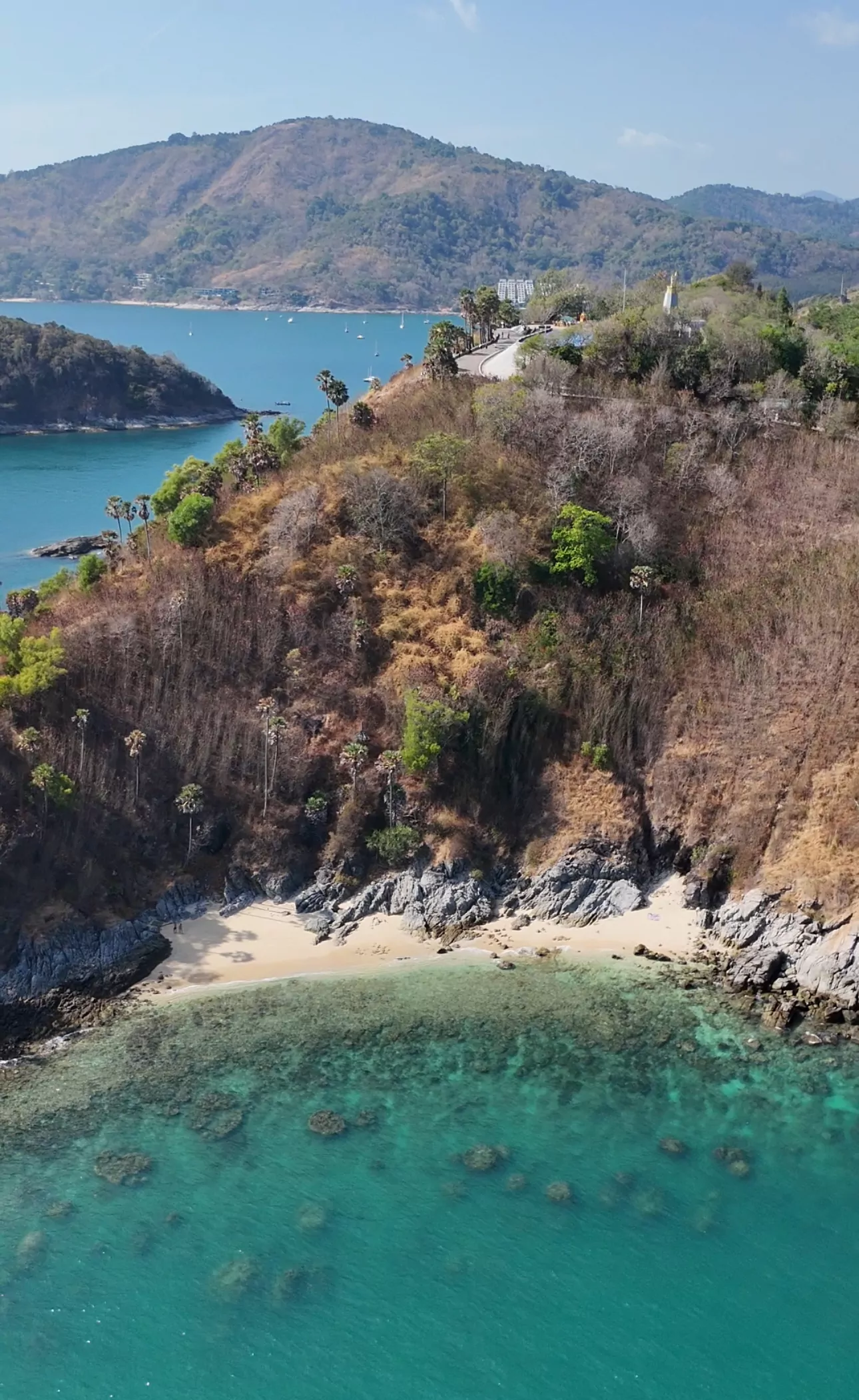 NI5wec0wuw49nc0eP8_0MAkWx77bVz0L