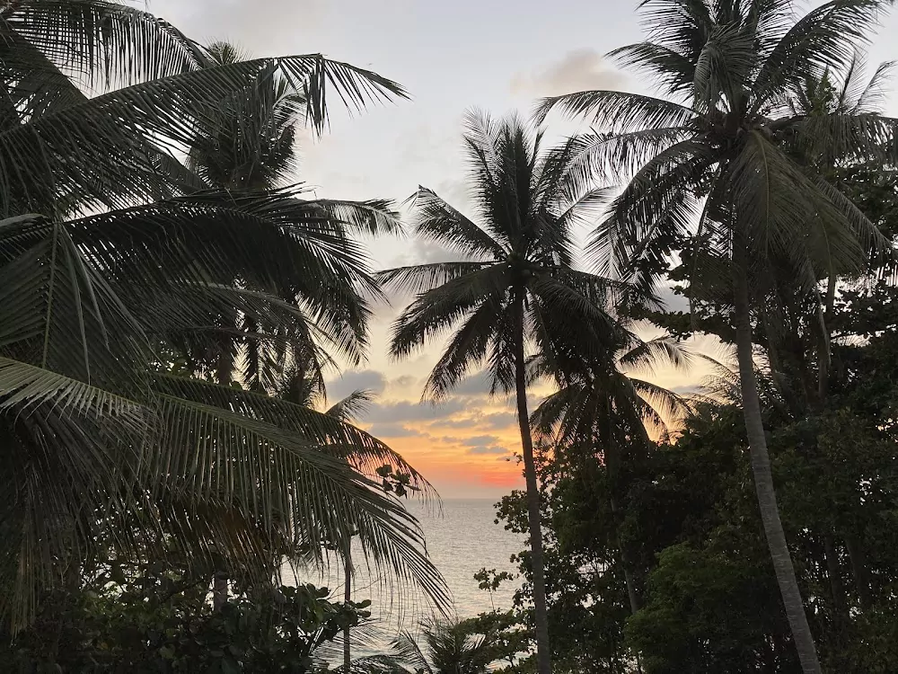 q2LyXeQAIovT2zbjVsp_ZuRfXZCo3uIK