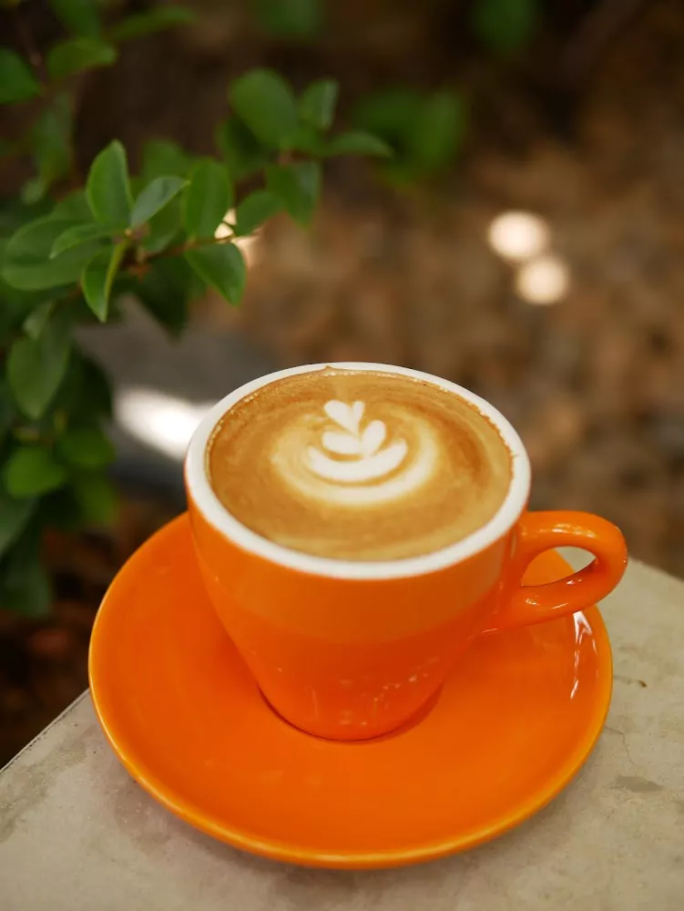 r76WvxdRuBH_T8cJR_zz1TPSNUV6PN1Q