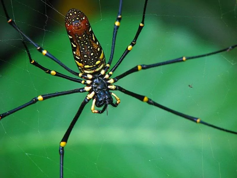 Rc2NB_wyKxJG8Wb8HrBMjeEjkx-qBKMk