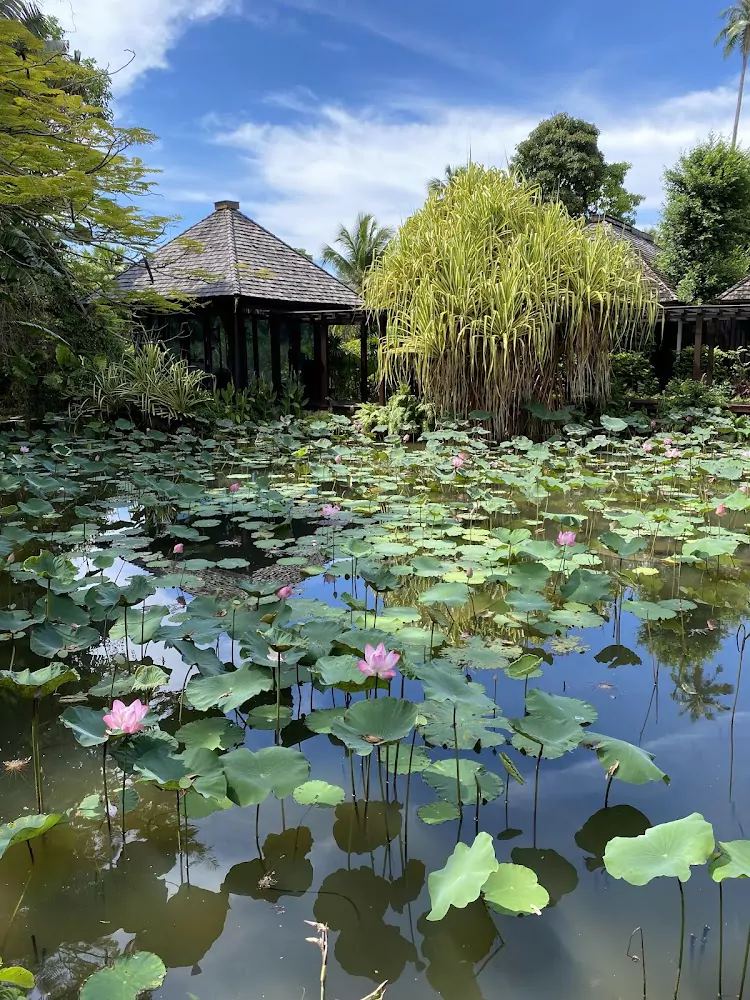 uJFzZYq5KR40YEcSQrkpVj-QJVT2tf4u