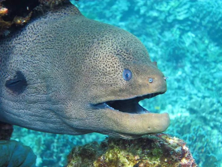 w1jR-BNLR5bhRH-ep3CkbiOqp1pltNy_