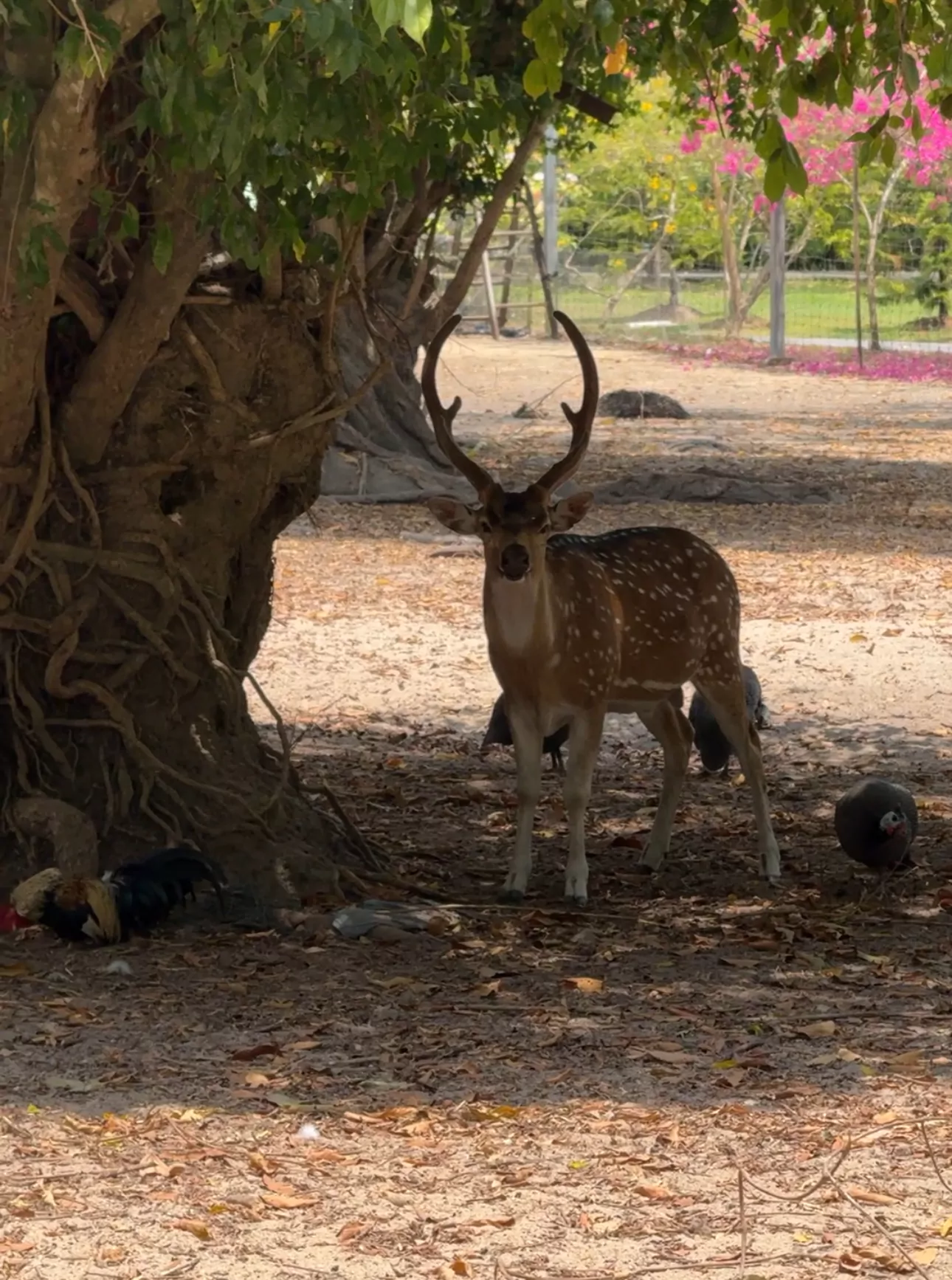 _Y1AA03Xgzk66pqM5fzktmHIQn2e-SsS